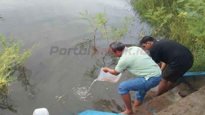 Desa Mojogede, Kecamatan Balongpanggang, Kabupaten Gresik, seluas 4 hektar, Sabtu (11/1/2025) pagi.