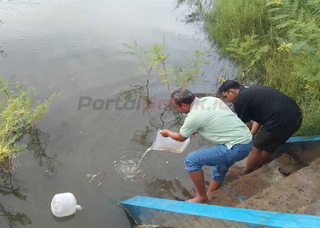 Desa Mojogede, Kecamatan Balongpanggang, Kabupaten Gresik, seluas 4 hektar, Sabtu (11/1/2025) pagi.