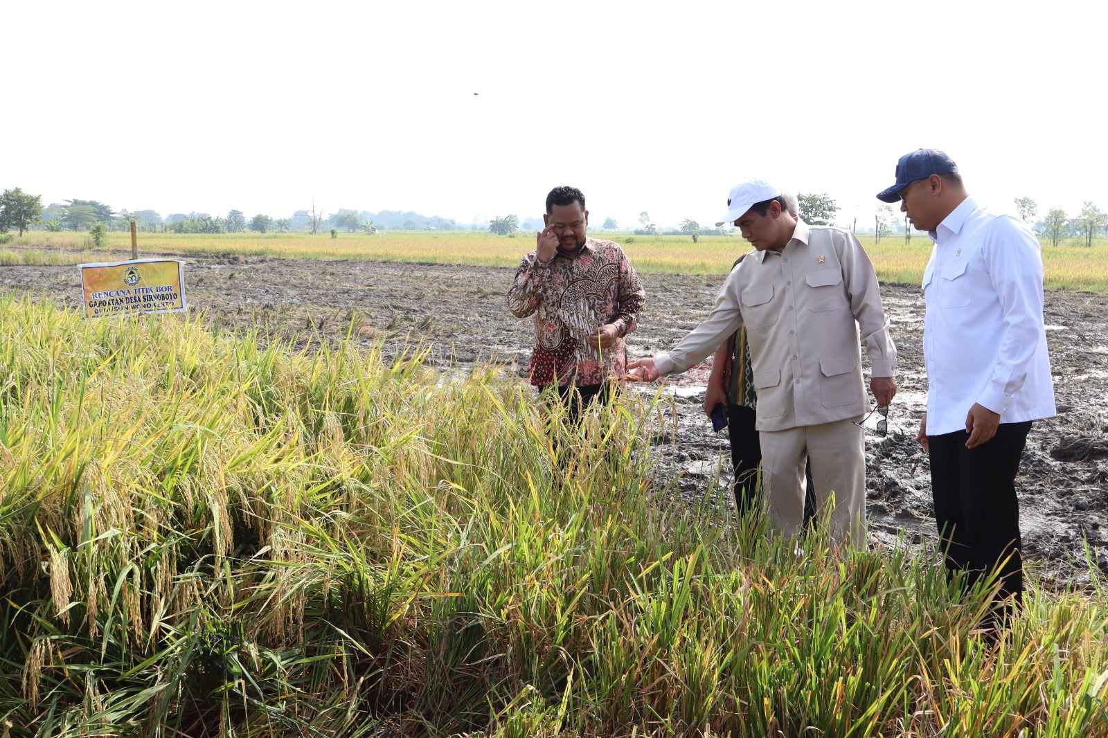 Mentan Amran saat menghadiri panen raya padi dan serap gabah di Desa Sirnoboyo, Kecamatan Benjeng, Kabupaten Gresik, pada Jumat (14/3/2025).