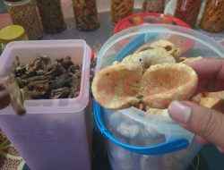 Olahan UMKM Kampung Nelayan Sidayu, Kerupuk Terung dan Teripang Jadi Jajanan Khas Lebaran