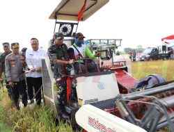 Ikuti Panen Serentak Secara Hybrid, Wakil Bupati Asluchul Alif : Pertanian di Kabupaten Gresik Terus Menunjukkan Kemajuan Signifikan