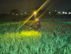 Cara Unik Usir Hama Tikus, Desa Gredek Adakan Festival Gropyokan Berburu Tikus Dapat Uang Tunai