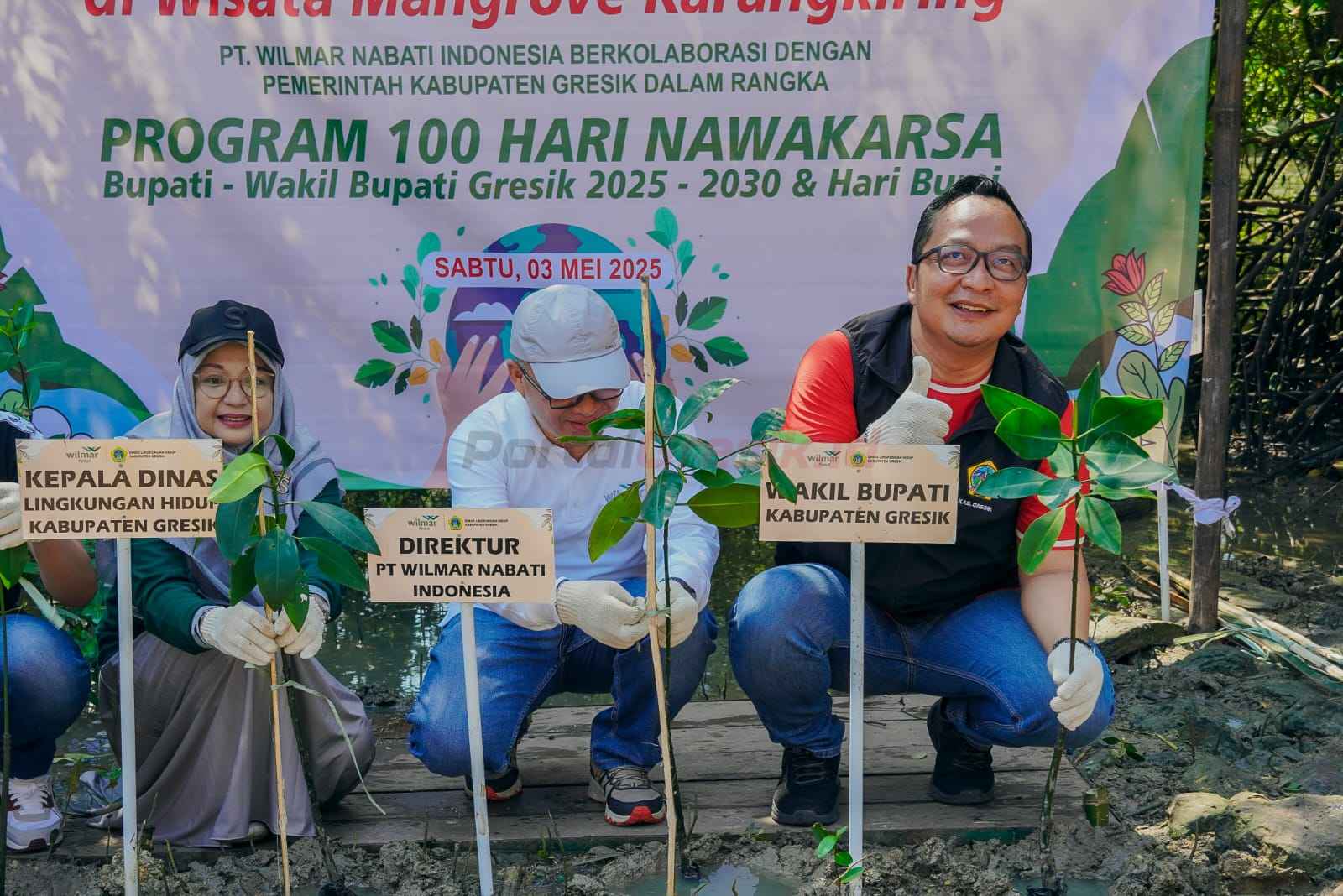 Wakil Bupati Gresik Asluchul Alif saat melakukan penanaman bibit mangrove bersama PT Wilmar Nabati Indonesia di kawasan wisata mangrove Karangkiring, Sabtu (3/5).