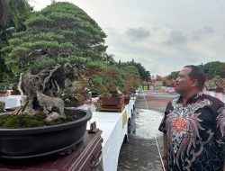 Ketua DPD TMI Gresik Yuyun Wahyudi Apresiasi Pelaksanaan Pameran dan Kontes Bonsai Tingkat Nasional
