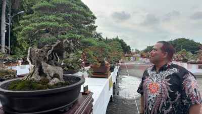 Ketua DPD TMI Gresik Yuyun Wahyudi Apresiasi Pelaksanaan Pameran dan Kontes Bonsai Tingkat Nasional