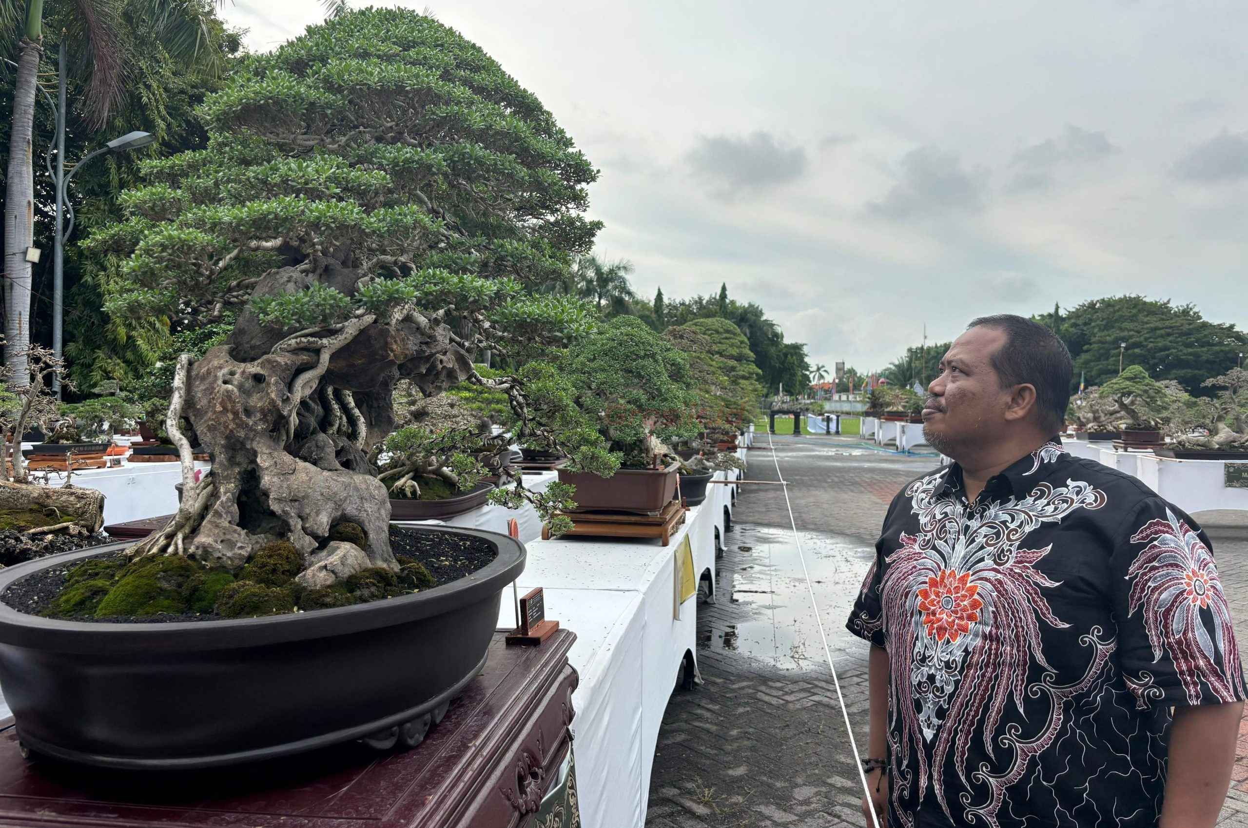 Ketua Pengurus Dewan Pimpinan Daerah (DPD) Tani Merdeka Indonesia (TMI) Kabupaten Gresik Yuyun Wahyudi saat menghadiri kontes Bonsai di halaman Pemkab Gresik
