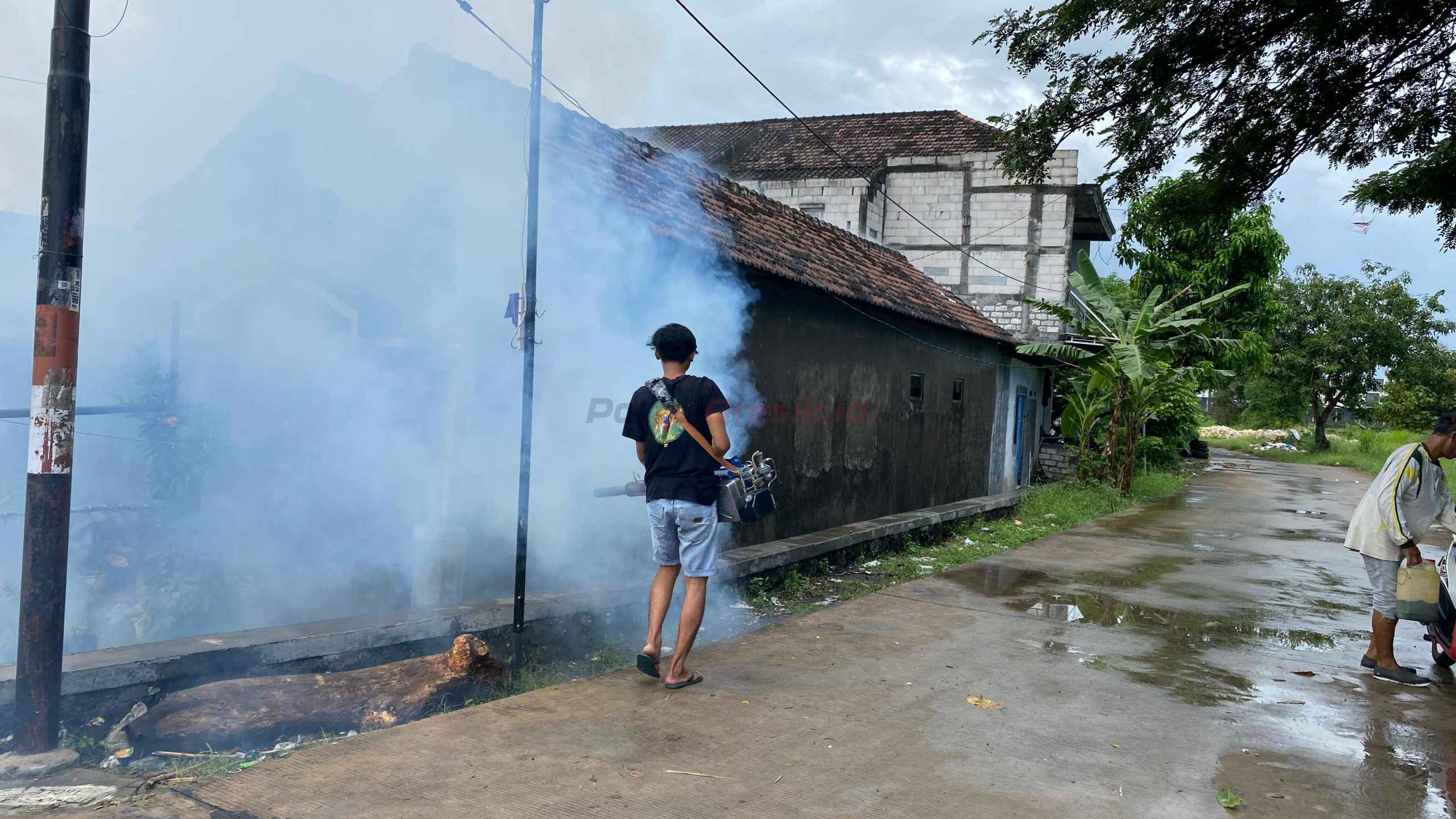 Pemerintah Desa Kepatihan, Kecamatan Menganti, Gresik, melakukan langkah antisipatif dalam mencegah penyebaran Demam Berdarah Dengue (DBD) dengan melaksanakan kegiatan fogging atau pengasapan insektisida secara mandiri.