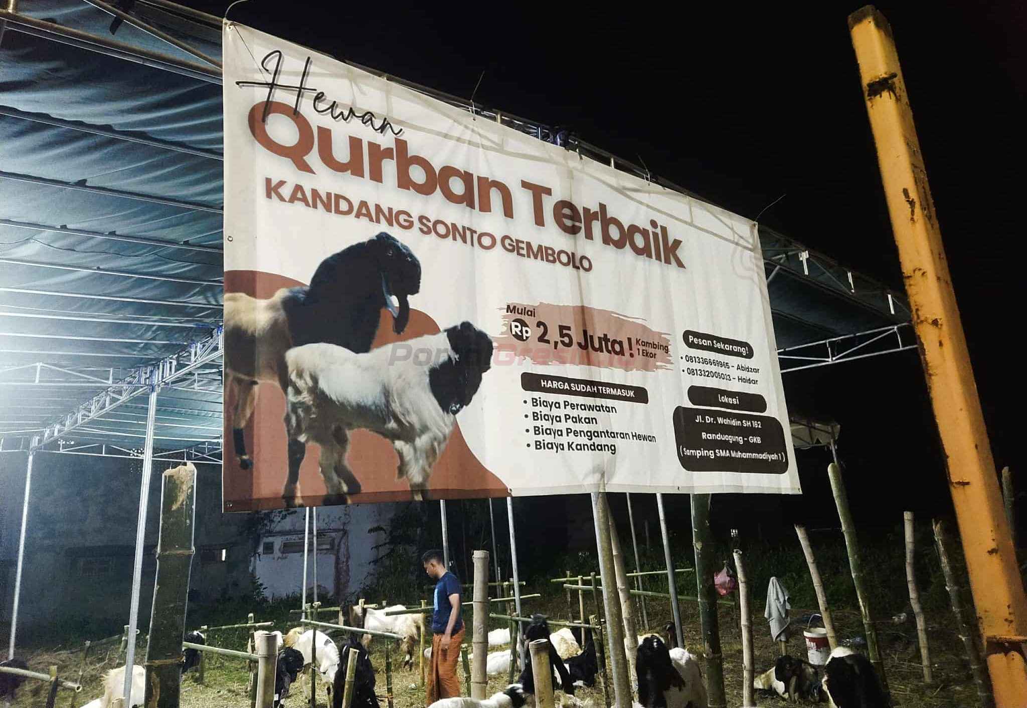 Kandang Sonto Gembolo Jual Kambing Kurban Dengan Berbagai Penawaran dan Harga Yang Terjangkau