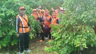 Wisata petik buah, yang kini membawa Desa Pengalangan lolos sebagai Desa Berdaya tingkat Provinsi Jawa Timur.