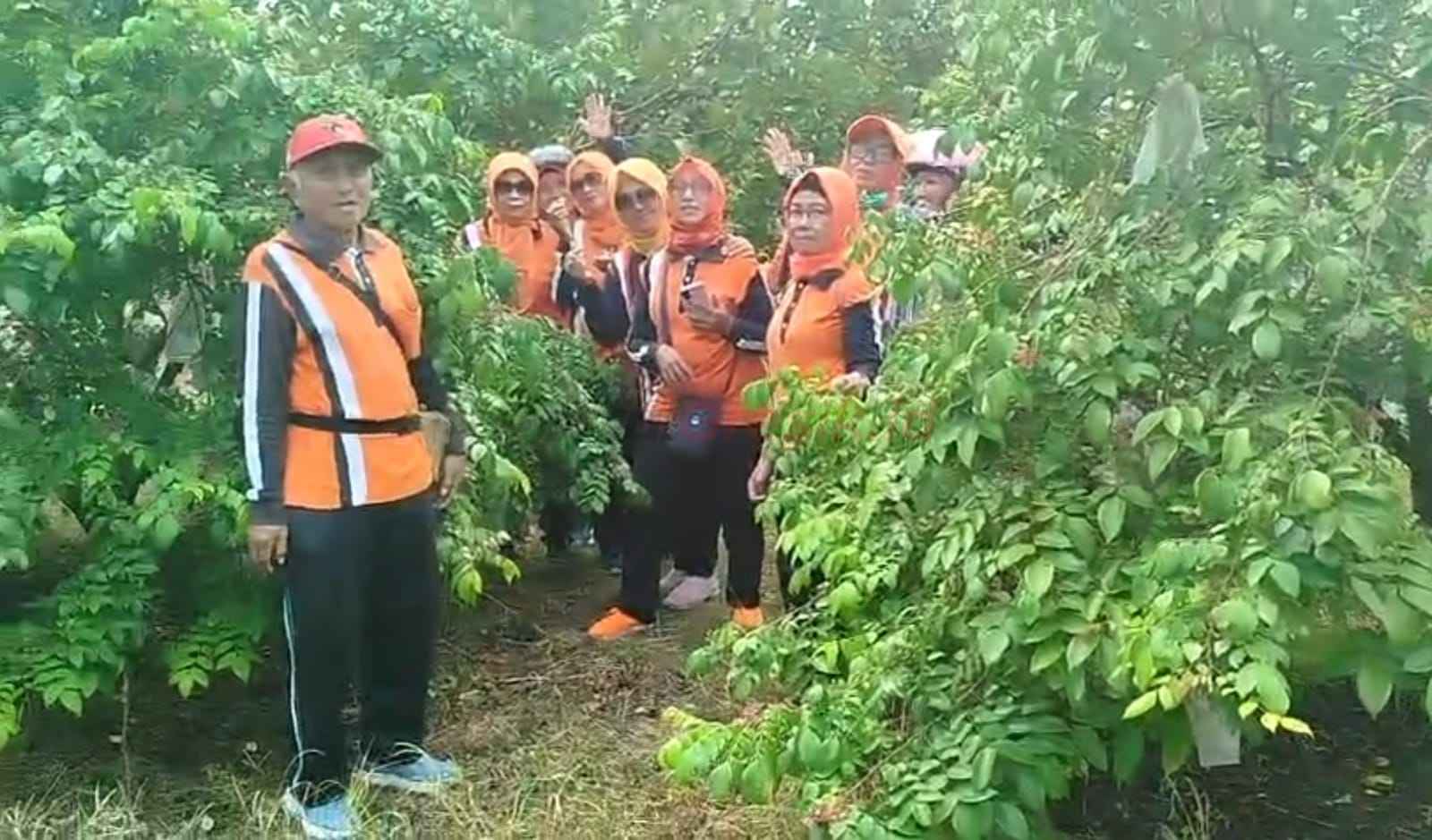 Wisata petik buah, yang kini membawa Desa Pengalangan lolos sebagai Desa Berdaya tingkat Provinsi Jawa Timur.