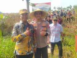 Pemdes Prupuh Panceng Dukung Swasembada Pangan, Sukses Gelaran Panen Raya Jagung untuk Ketahanan Pangan Nasional