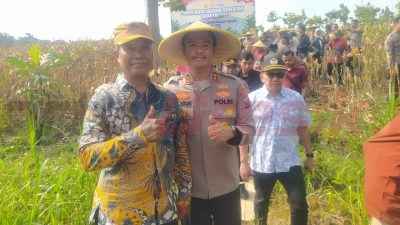 Kades Prupuh Panceng Mushollin Bersama Kapolres Gresik, saat panen raya jagung kuartal II di Desa Prupuh Kecamatan Panceng Kabupaten Gresik, Kamis (5/6/2025).