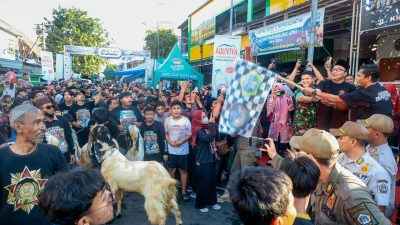 Culture and Tradition Eid Adha 2025 : Semangat Budaya, Arah Baru Peternakan Muda