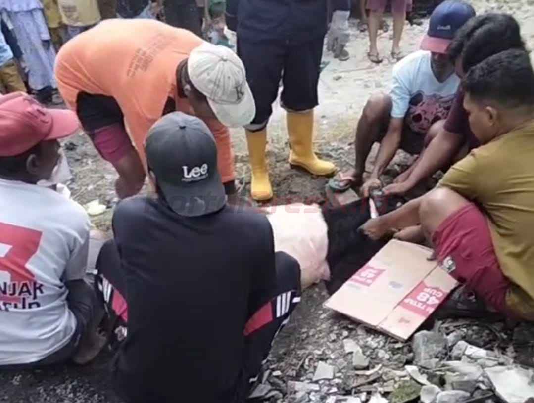 Warga Desa Mojoasem, Kecamatan Sidayu, Gresik, melaksanakan penyembelihan hewan kurban pada Jumat (6/6/2025),