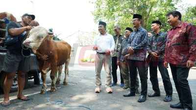 GM of CSR, SIG Edy Saraya (tengah) bersama 6 Kepala Kelurahan/Desa penerima hewan kurban melakukan pengecekan sapi kurban sebelum di distribusikan ke Kelurahan Gending, Singosari, Sidomoro, Segoromadu, Sidorukun, dan Kramatinggil, Kabupaten Gresik, Jawa Timur, pada Kamis (5/6).