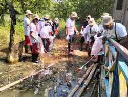 PLN Gelar Aksi Bersih Pantai di Banyuurip, Kades Banyuurip : Semoga ini Menjadi Contoh dan Membangun Kesadaran Kolektif
