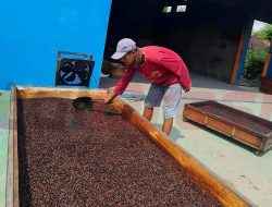 Kopi Lelet Pandawa, Cerita Sukses UMKM Rembang Binaan SIG Tembus Pasar Nasional