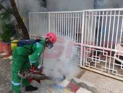 Cegah DBD, Pemdes Sekarkurung Gelar Fogging dan Sosialisasi Kebersihan Lingkungan