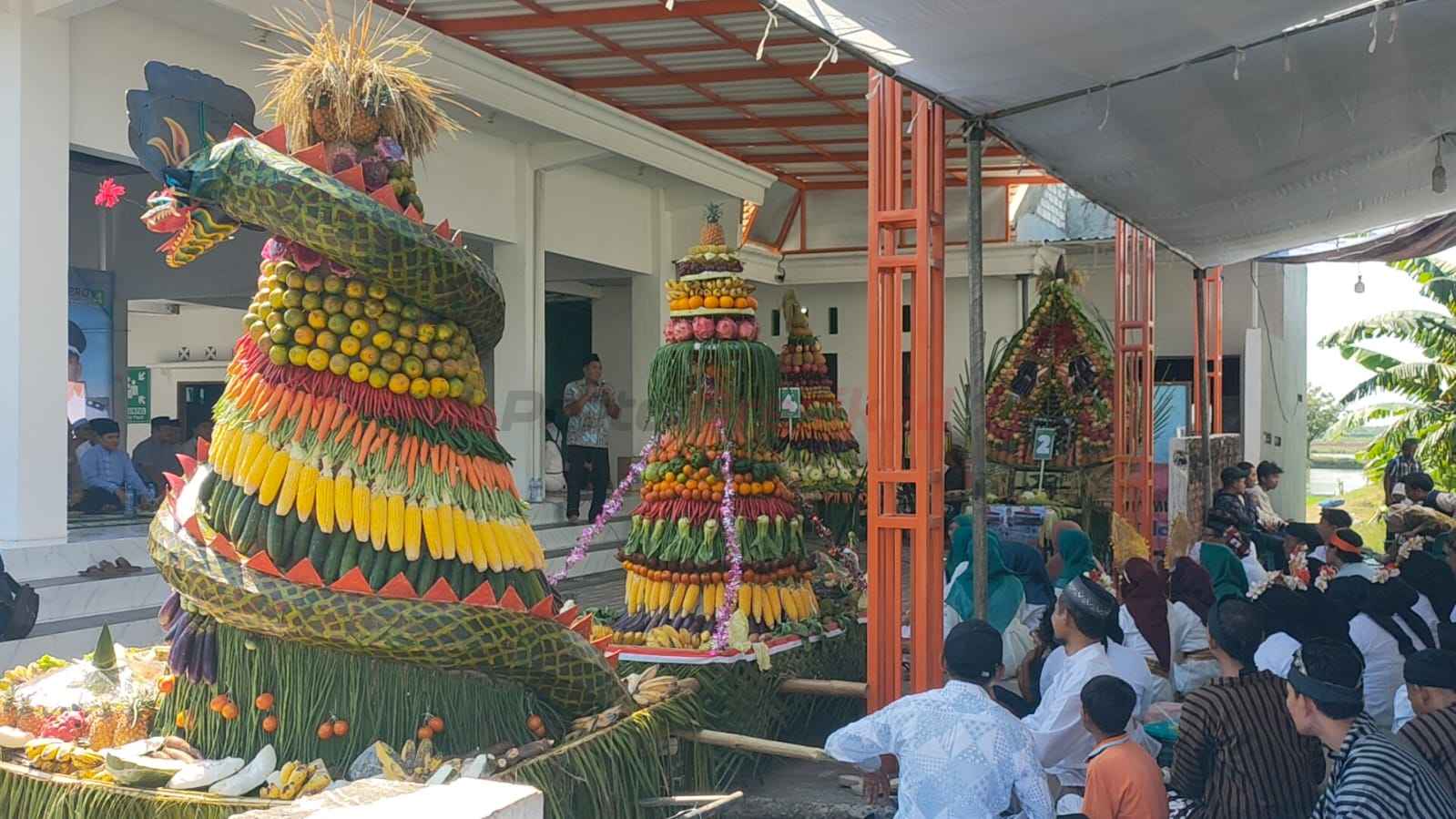 Puncaknya kegiatan Sedekah Bumi Desa Cagakagung ditandai dengan kirab lima tumpeng agung yang dihias meriah menggunakan hasil bumi lokal seperti padi, jagung, sayuran, hingga buah-buahan.