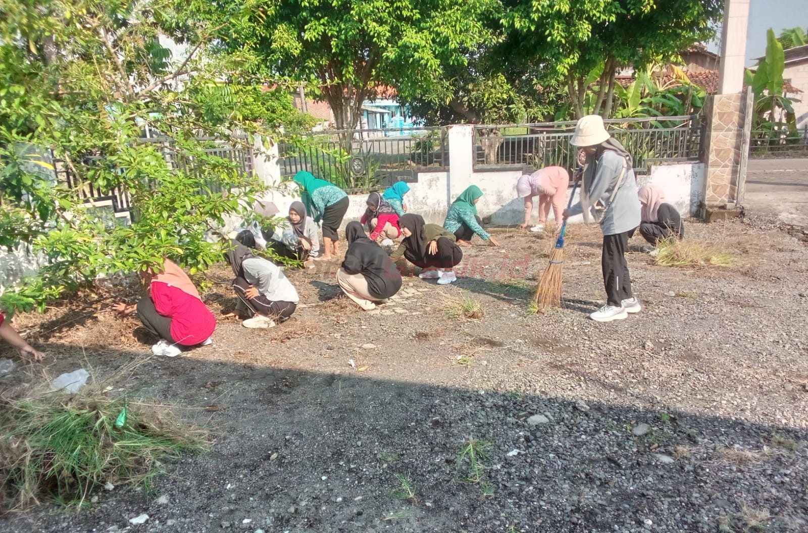 Kegiatan Jumat Bersih dan Penanaman Tanaman Obat Keluarga (Toga), yang digelar di Kantor Balai Desa Mojogede pada Jumat (18/07/2025).