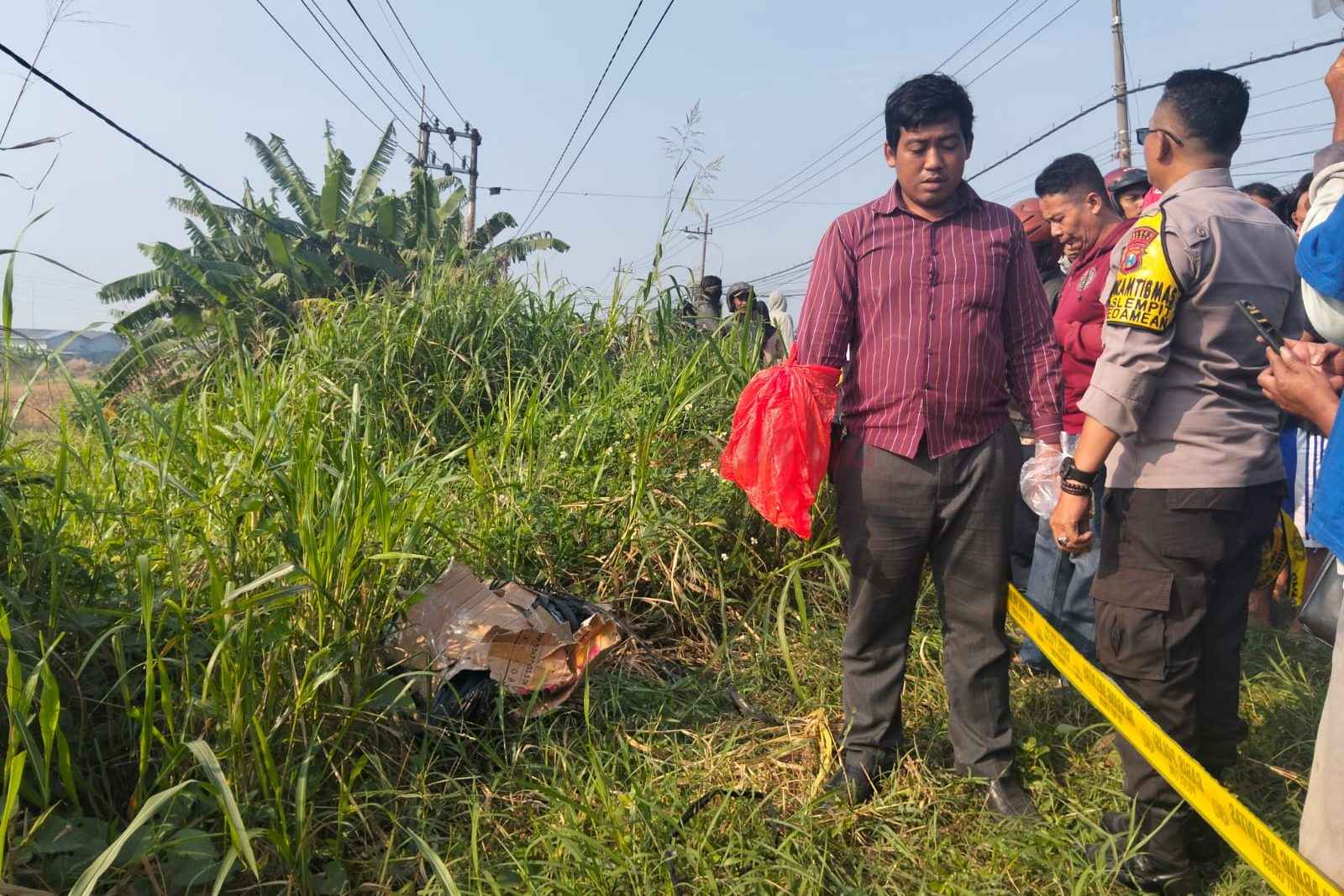 Mayat dalam kardus Sevi Ayu Claudia (30) saat ditemukan dipinggir jalan.