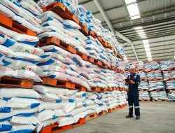 Petrokimia Gresik Dukung Tata Kelola Baru Pupuk Bersubsidi, Stok Nasional Capai 508 Ribu Ton