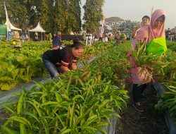 Petrokimia Gresik Gelar Petro Agrifood Expo 2025, Hadirkan Edukasi Pertanian dan Pengalaman Petik Buah