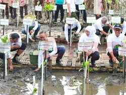 SIG dan Pemprov Jatim Tanam 17.845 Bibit Mangrove di Probolinggo, Perkuat Konservasi Pesisir