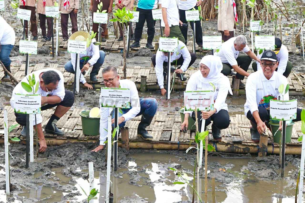 Direktur Utama SIG Indrieffouny Indra (kedua kiri) bersama Gubernur Jawa Timur Khofifah Indar Parawansa (ketiga kiri) melakukan penanaman bibit bakau (mangrove) pada acara Festival Mangrove ke-7 Provinsi Jawa Timur di kawasan pesisir Pantai Bahak, Curahdringu, Tongas, Probolinggo, Jawa Timur, pada Selasa (19/8/2025).