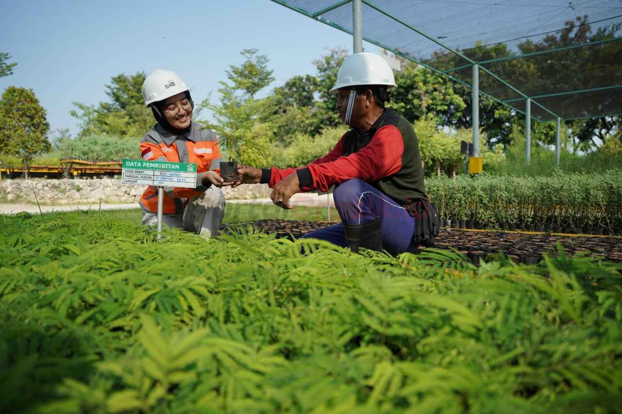 Area pembibitan tanaman Kaliandra di kawasan Griyo Winih Ecopark Kambang Semi lahan pascatambang tanah liat SIG di Pabrik Tuban, Jawa Timur.