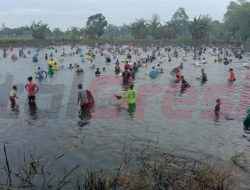 Ratusan Warga Bulangan Berebut Ikan di Waduk Srumbung, Tradisi Sambut Sedekah Bumi & HUT RI ke-80