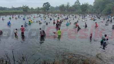 Ratusan Warga Bulangan Berebut Ikan di Waduk Srumbung, Tradisi Sambut Sedekah Bumi & HUT RI ke-80
