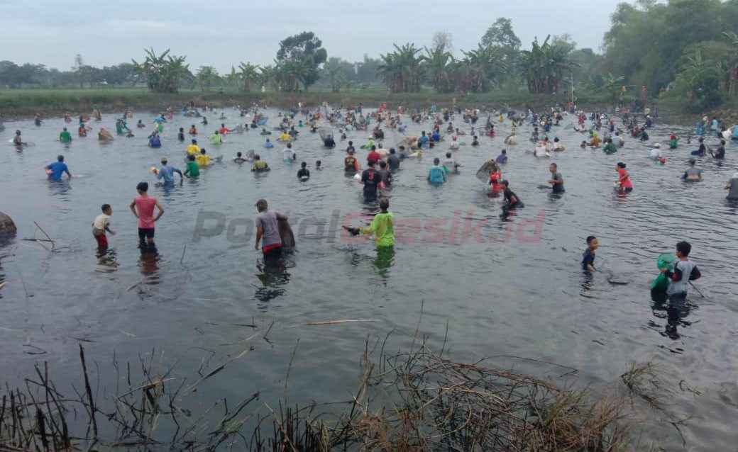 Warga Desa Bulangan, Kecamatan Dukun, Kabupaten Gresik saat mengikuti tradisi Ngubek Srumbung, yaitu berebut ikan bersama-sama, Rabu (20/8/2025) pagi.