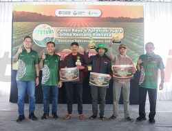 Petrokimia Gresik Gelar Lomba Kentang Raksasa di Dieng Raya, Dorong Produktivitas dan Kesejahteraan Petani