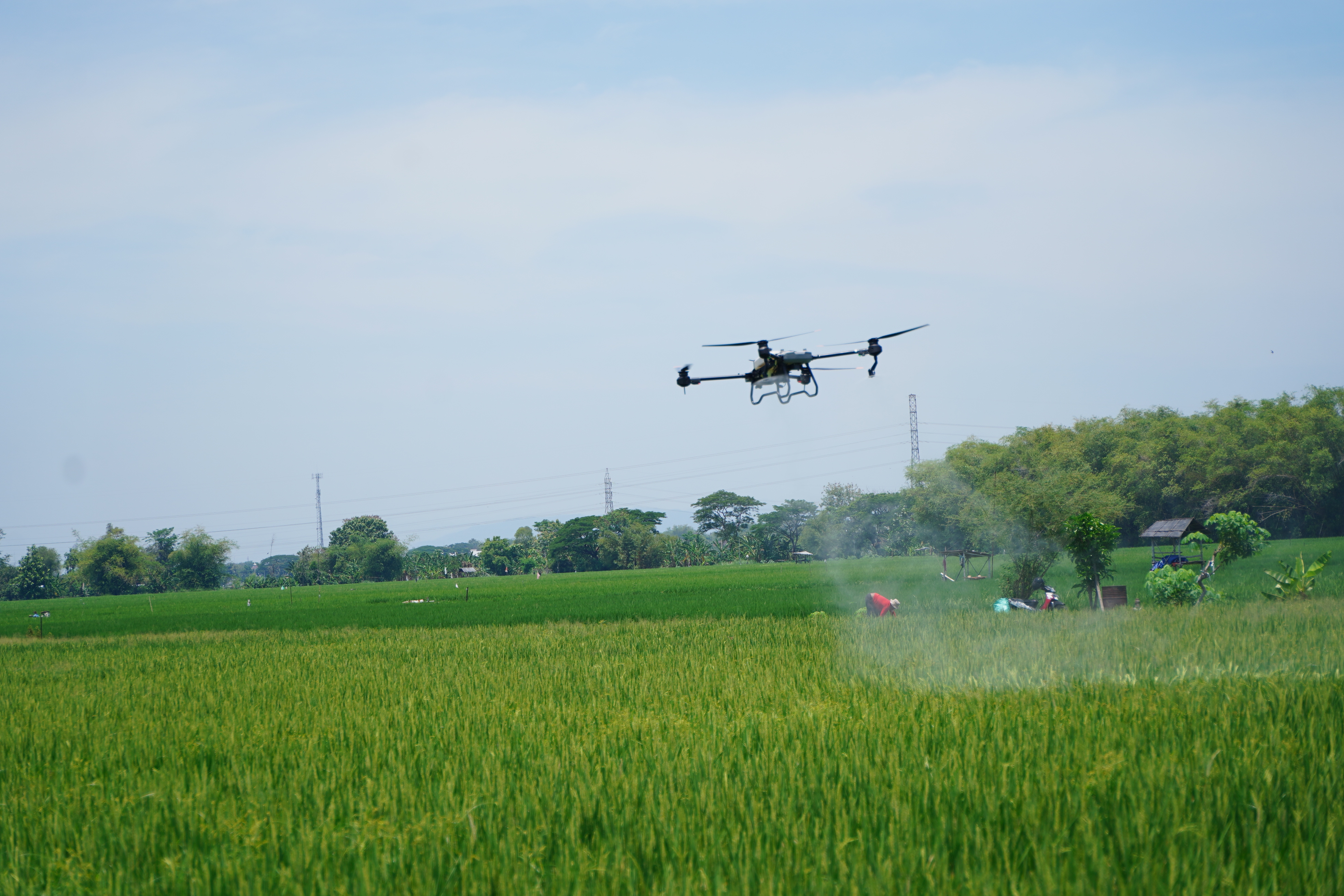 Pemupukan menggunakan drone di lahan program Makmur Petrokimia Gresik di Desa Tiron, Kabupaten Madiun