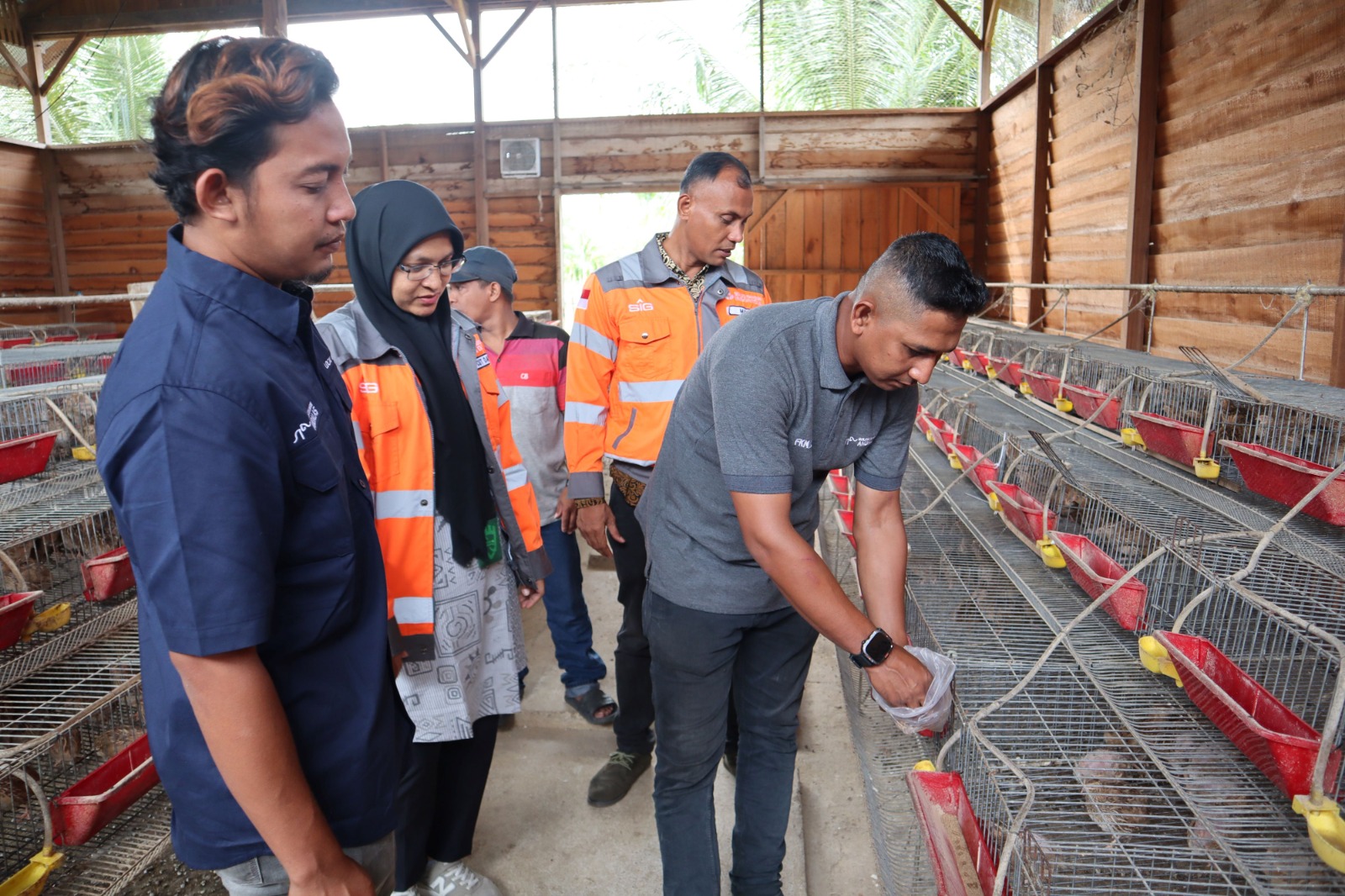 SIG Sulap 60 Ton Sampah Kelapa Jadi Sumber Ekonomi Baru, Biaya Pakan Ternak Turun 60 Persen