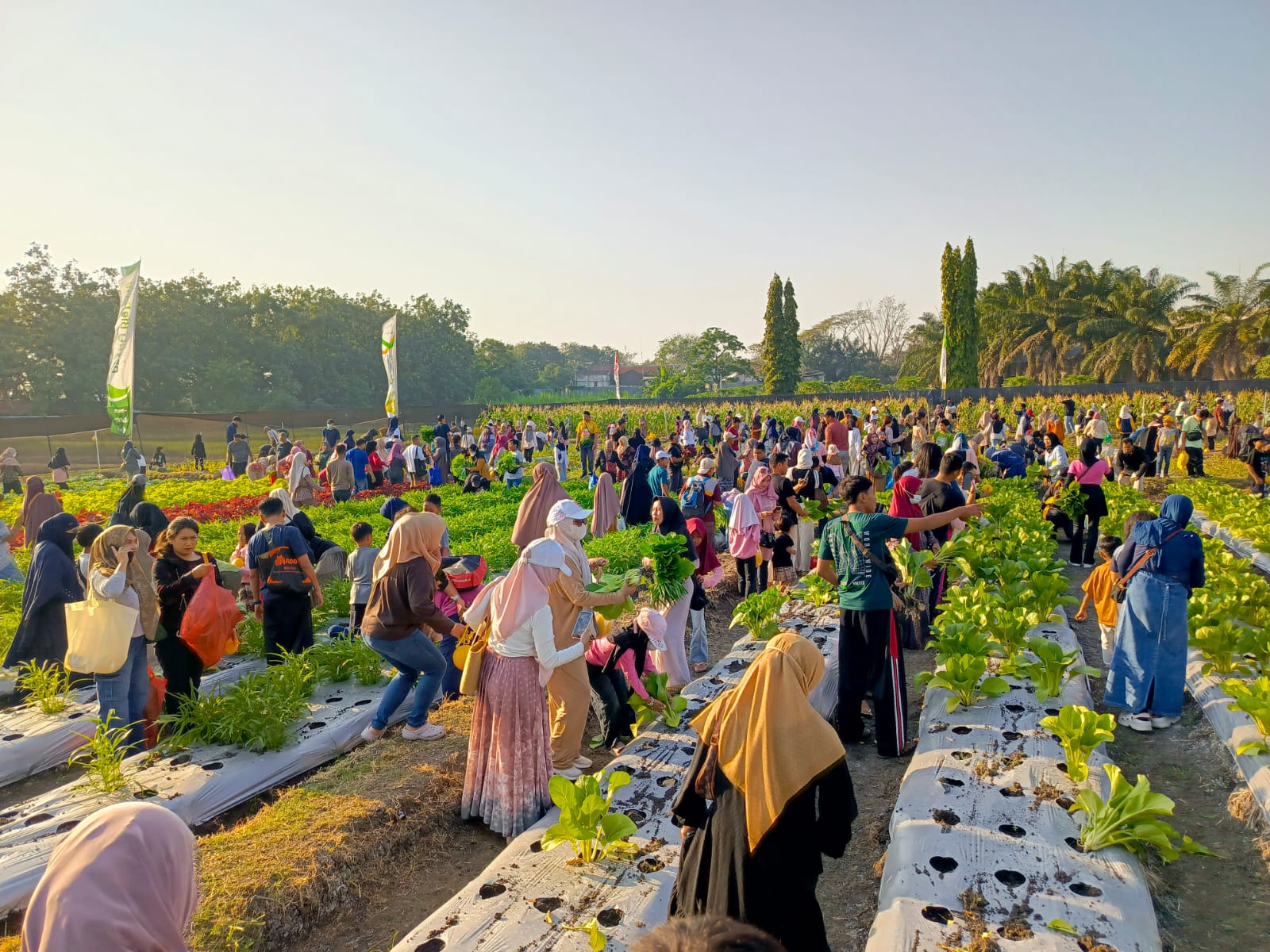 Petro Agrifood Expo 2026 Jadi Ajang Edukasi Agroindustri dan Regenerasi Petani