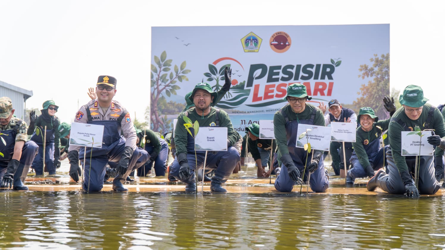 Pemkab Gresik dan PT Smelting Tanam 10.000 Mangrove di Randuboto, Perkuat Perlindungan Pesisir