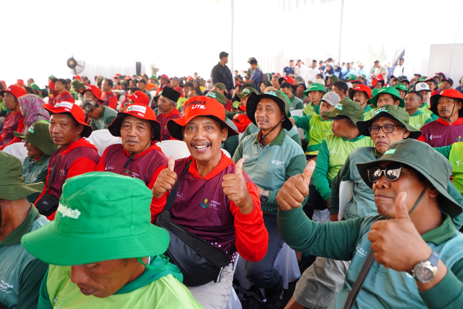 Petrokimia Gresik Dorong Produktivitas Cabai Rawit Jatim Lewat Pestani Rawit Groo Festival