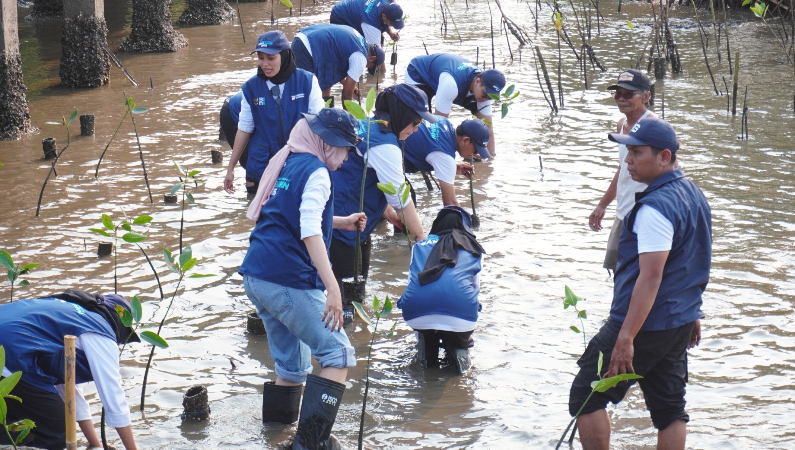 SIG Libatkan Relawan Bakti BUMN 2026 untuk Perkuat Konservasi Mangrove Pantai Bahak Probolinggo
