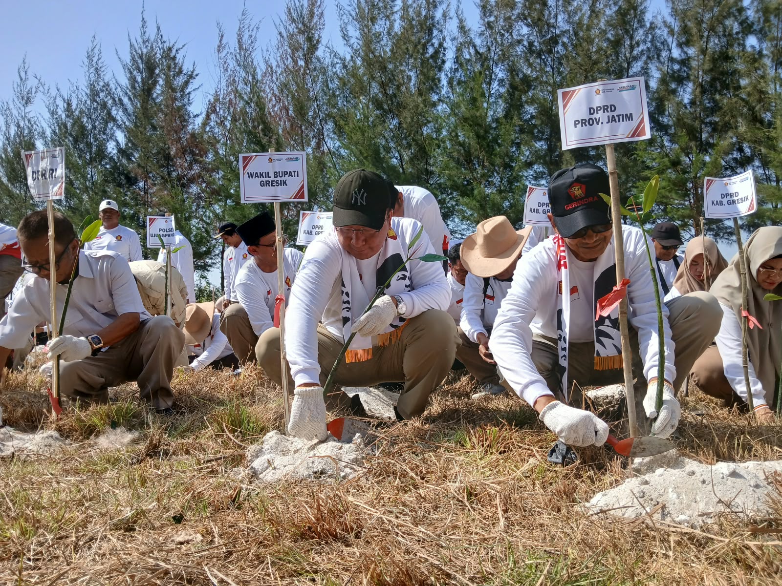 Ketua DPC Partai Gerindra Kabupaten Gresik, Asluchul Alif bersama jajaran saat menanam ratusan pohon mangrove di RTH Pangkahwetan Ujungpangkah
